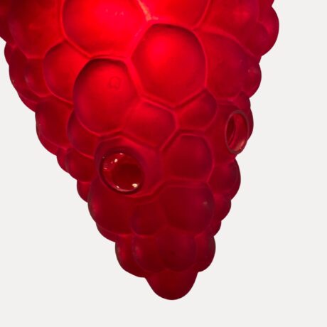 VL1036 Antique Victorian Pole Pendant Reflex Fitter Ruby Red Grape Cluster Shade Rare - Image 4