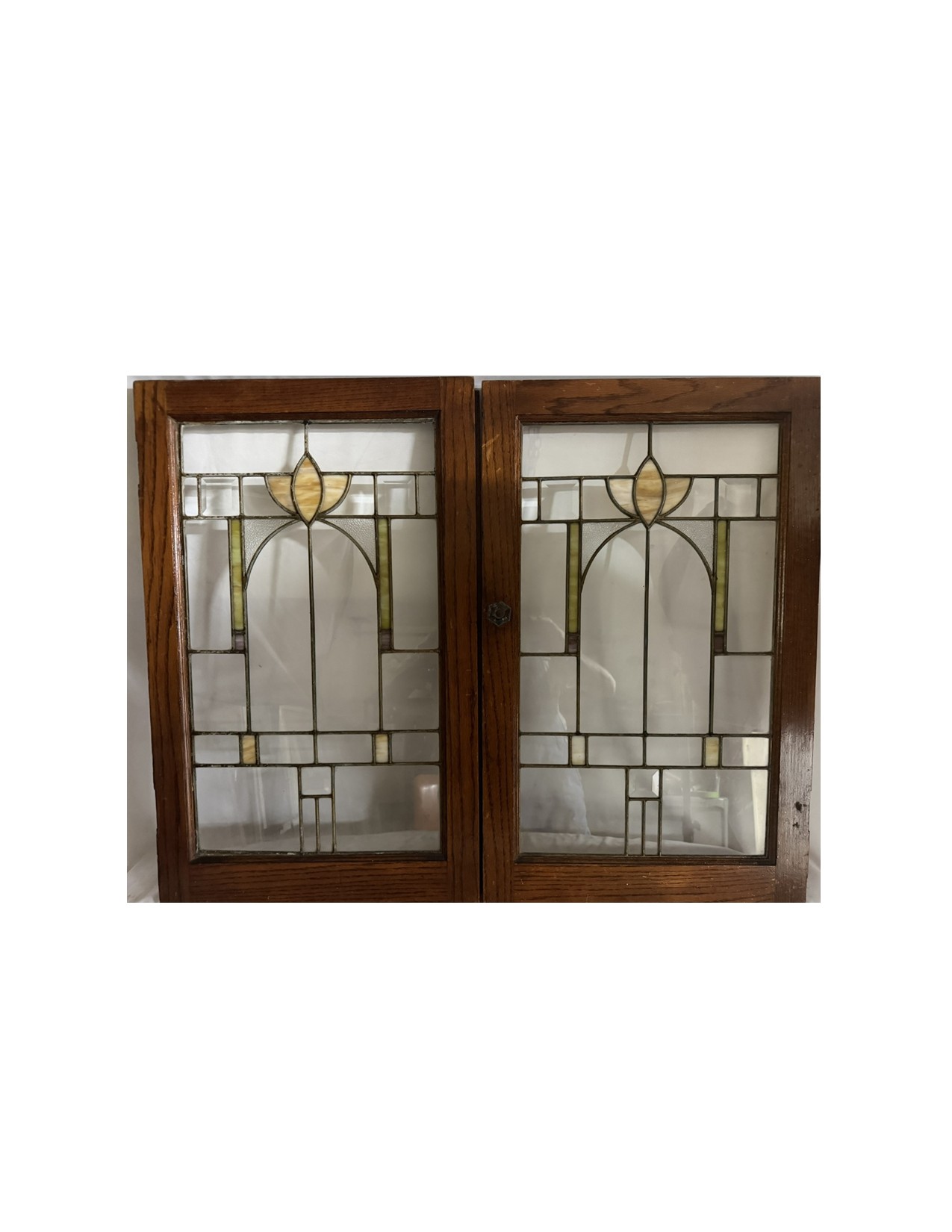 AG1099 Pair Craftsman c1915 Cabinet Doors Tulip Lotus Flower Pattern Restored